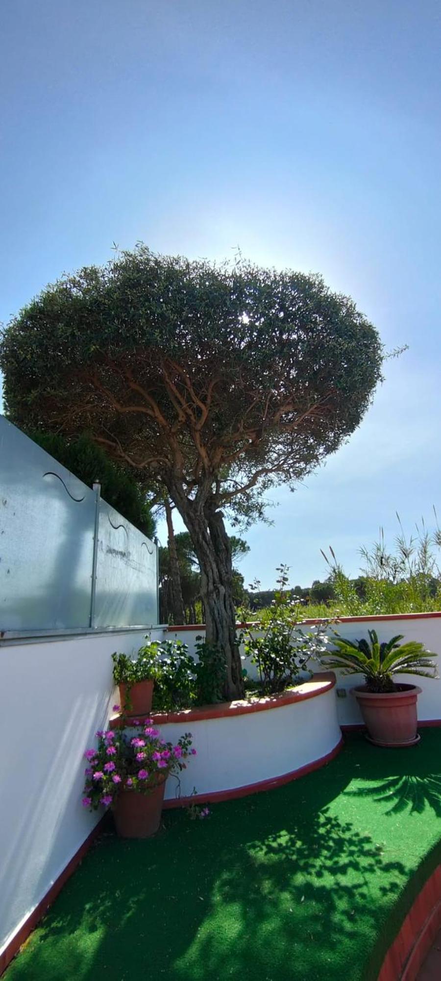Hotel B&B Marina Capaccio Luaran gambar