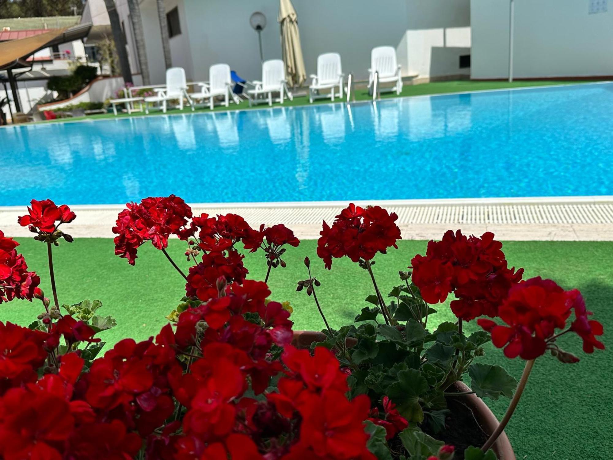 Hotel B&B Marina Capaccio Luaran gambar