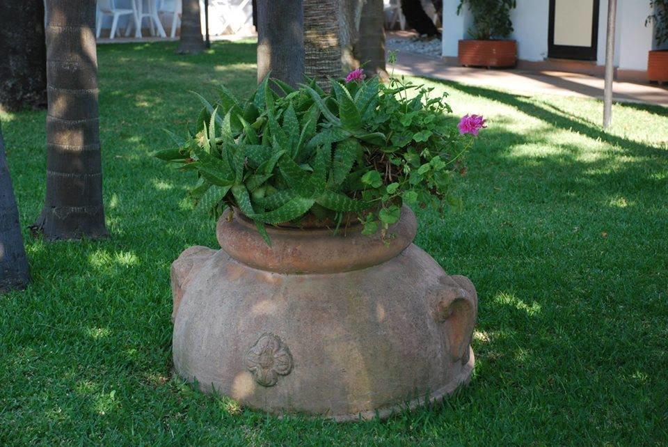 Hotel B&B Marina Capaccio Luaran gambar